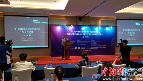 廈門軟件業領跑全省，技術服務成新引擎